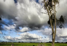 开云:竞争奥运积分 亚洲皮划艇静水锦标赛开幕