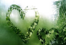 开云体育:中国绍兴将承办洛杉矶奥运会女子垒球亚洲/大洋洲区资格赛