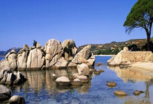 开云体育下载:NBL总决赛：香港金牛胜上海玄鸟取冠军点